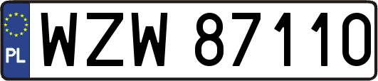 WZW87110