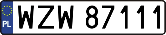 WZW87111
