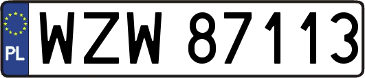 WZW87113