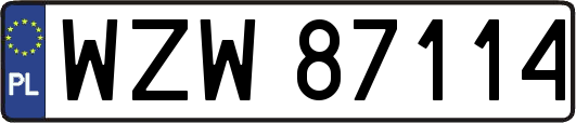 WZW87114