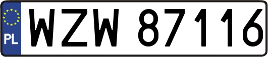 WZW87116