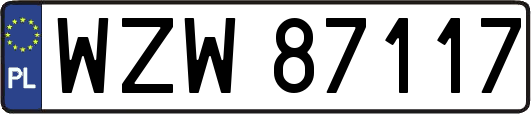 WZW87117