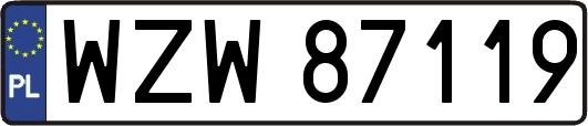 WZW87119