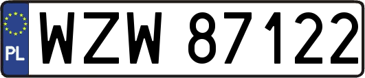 WZW87122