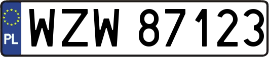WZW87123