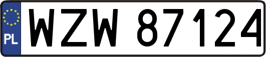 WZW87124