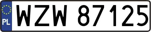 WZW87125
