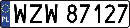 WZW87127
