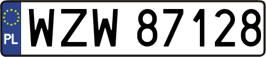 WZW87128