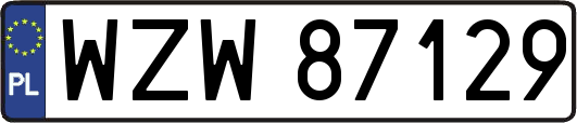 WZW87129