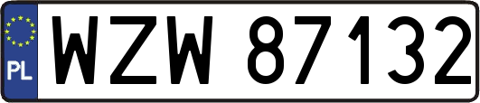 WZW87132