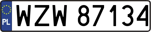 WZW87134