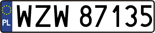 WZW87135