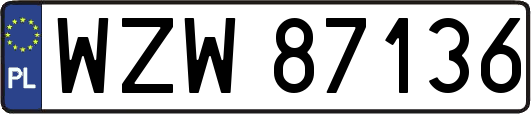 WZW87136