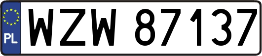 WZW87137