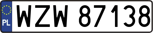 WZW87138