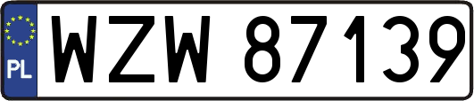 WZW87139