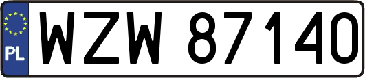 WZW87140