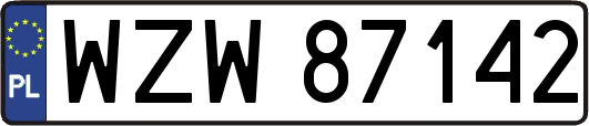 WZW87142