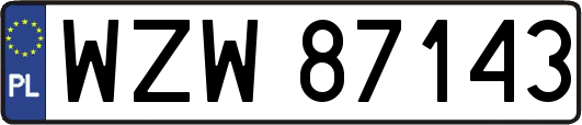 WZW87143