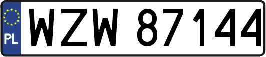 WZW87144