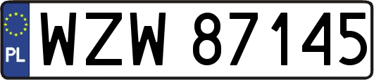 WZW87145