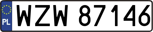 WZW87146