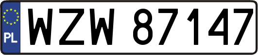 WZW87147