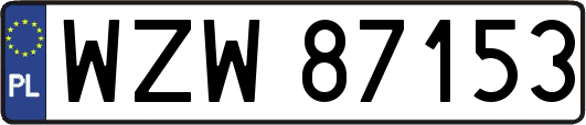 WZW87153