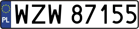 WZW87155
