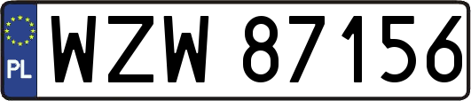 WZW87156
