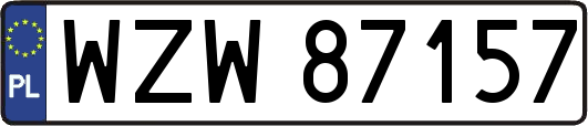 WZW87157