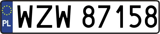 WZW87158