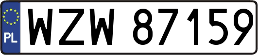 WZW87159