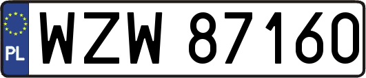 WZW87160