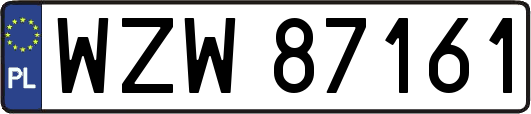 WZW87161