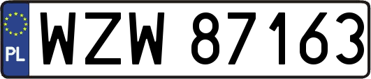 WZW87163