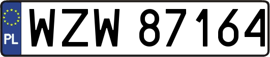 WZW87164