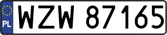 WZW87165