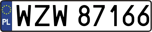 WZW87166