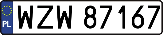 WZW87167