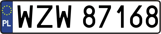 WZW87168