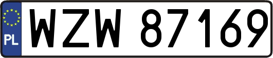 WZW87169