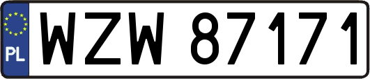 WZW87171