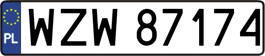 WZW87174
