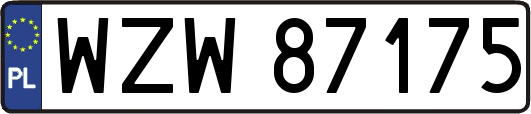 WZW87175