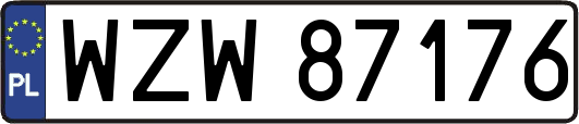WZW87176