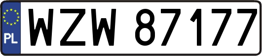 WZW87177