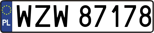 WZW87178