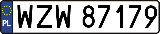 WZW87179